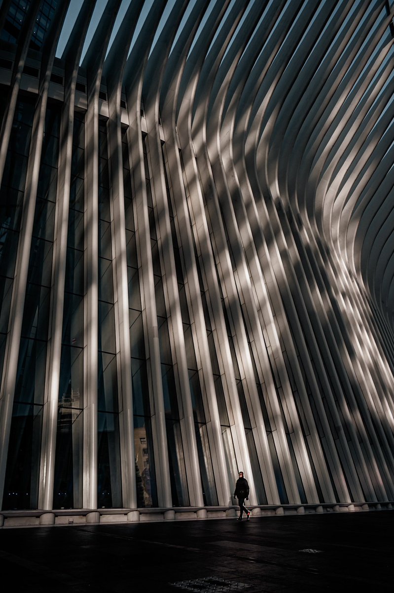 javanng's tweet photo. When the morning sun meets architecture —perfect harmony of light, shadow, and design.
#oculus #onewtc #newyork #newyorkcity #nyc #iloveny #strideby #streetsofnewyork https://t.co/Yb5TbE26sx