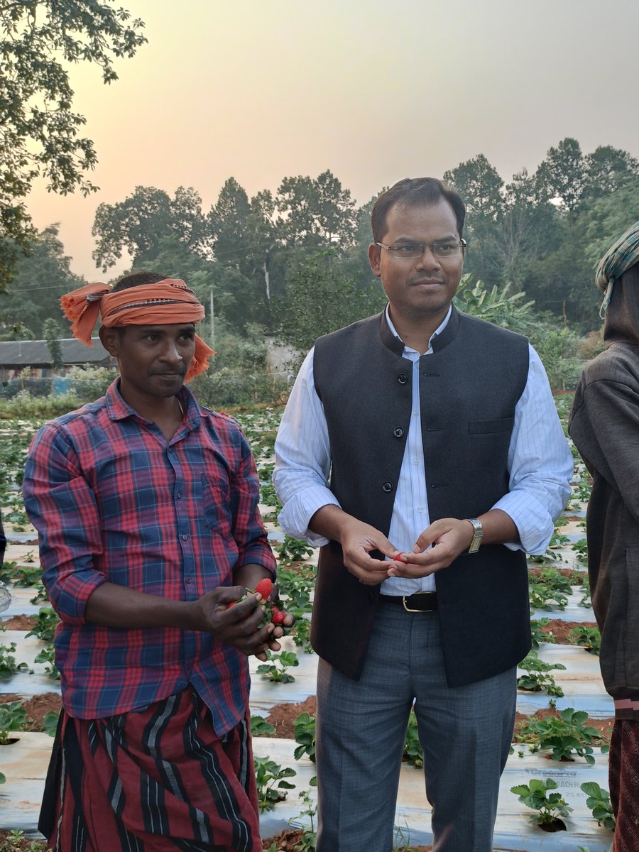 Collector & District Magistrate Mayurbhanj tweet media