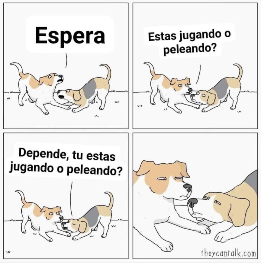 Ana_LaPatata tweet media