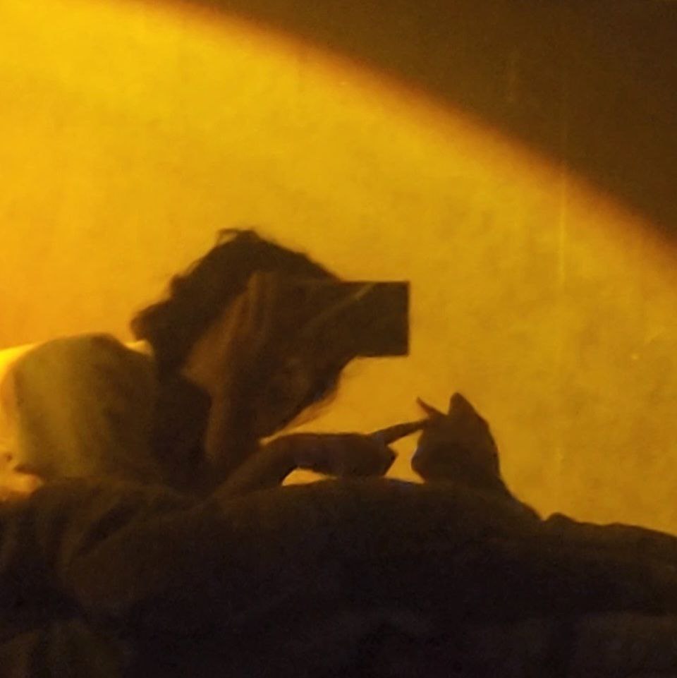 پَریچ tweet media