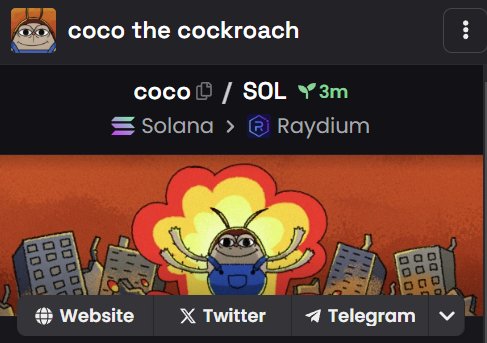 coco tweet media