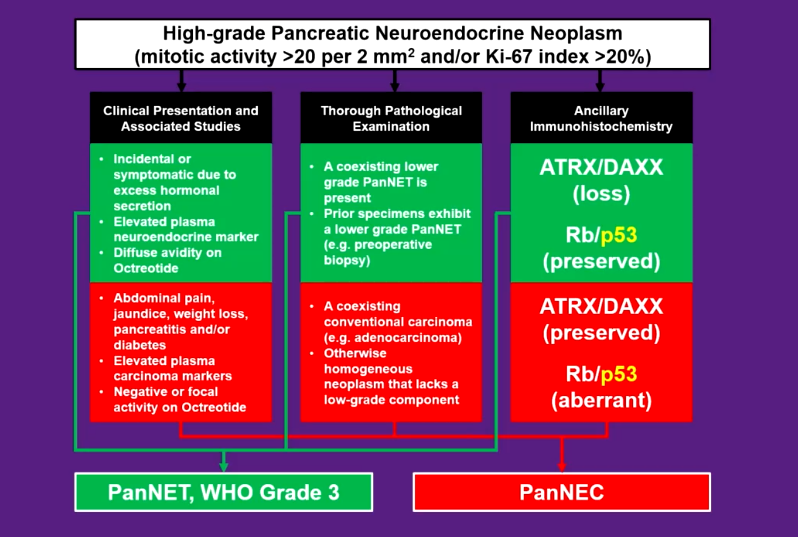 Janiranavarro's tweet image. Pancreatic neuroendocrine tumor WHO grade 3 vs Pancreatic neuroendocrine carcinoma

Dr. Singhi #CAP24 #pathology #PathTwitter #PathX