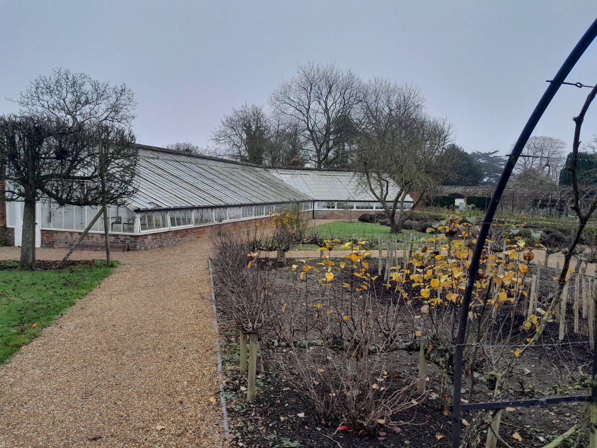 Misty,Foggy, Belmont House, East Kents Gem, walking the Estate, all to ourselves, no one around, just the birdsong to keep us company. 
Winter beauty.