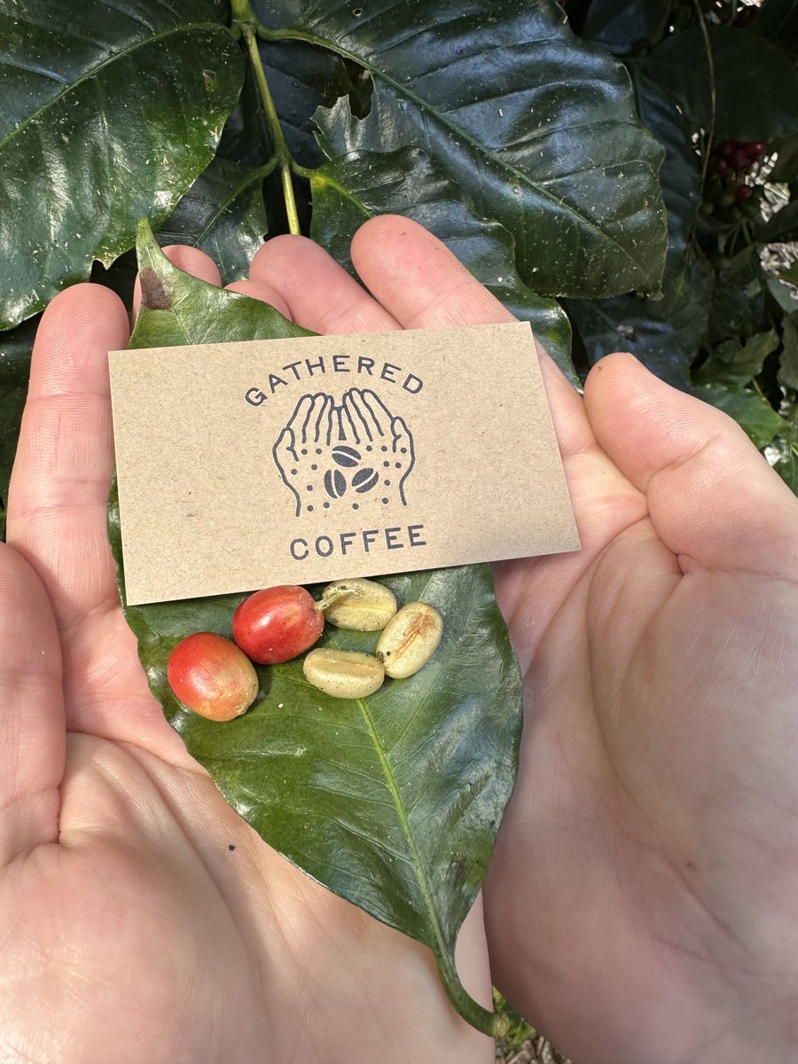 brianperezer's tweet photo. A project I did for a family member back in January — brining together missionary work and coffee. 

Being a graphic designer is really fun. https://t.co/RdipIxCz8A