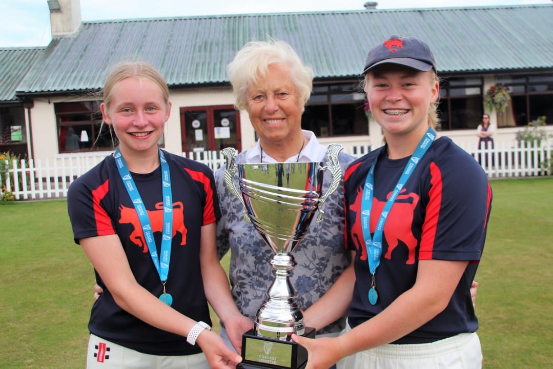 Cricket Leinster tweet media