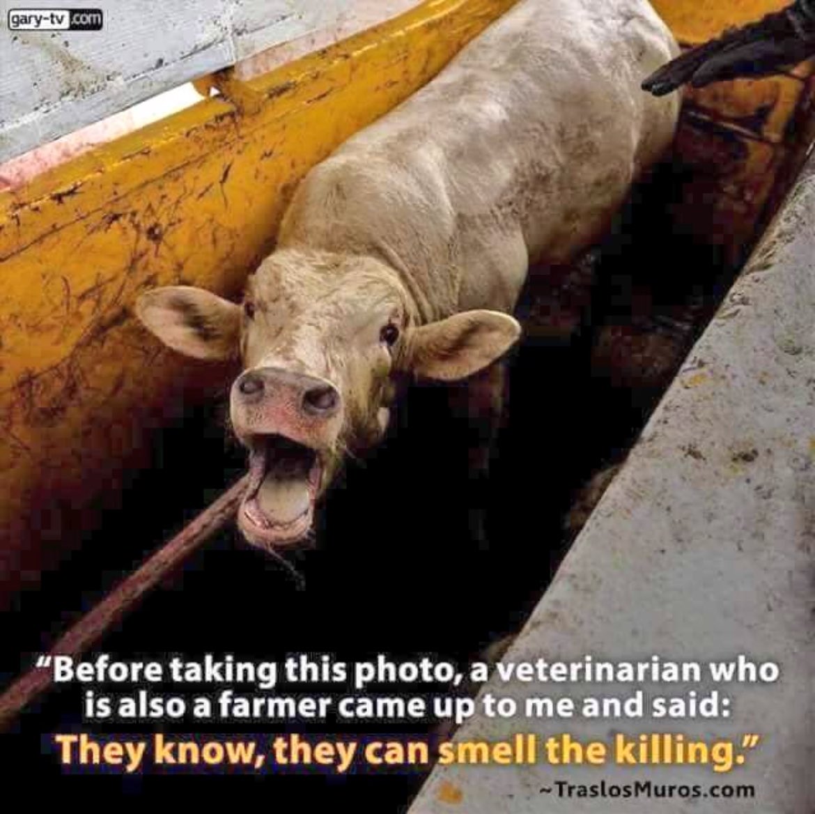 NothingIsArt tweet media