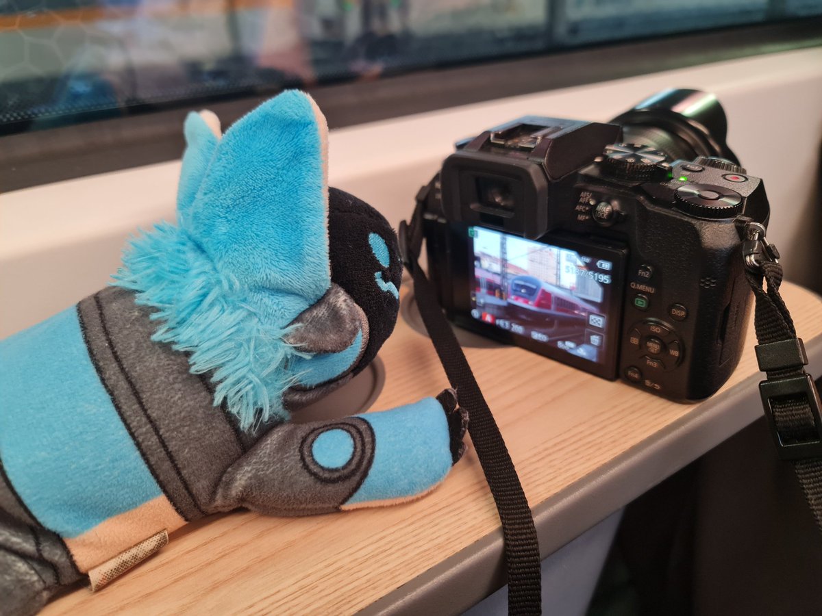 ProtoWithALoco's tweet image. captured in cooperation with @nagiphaaa