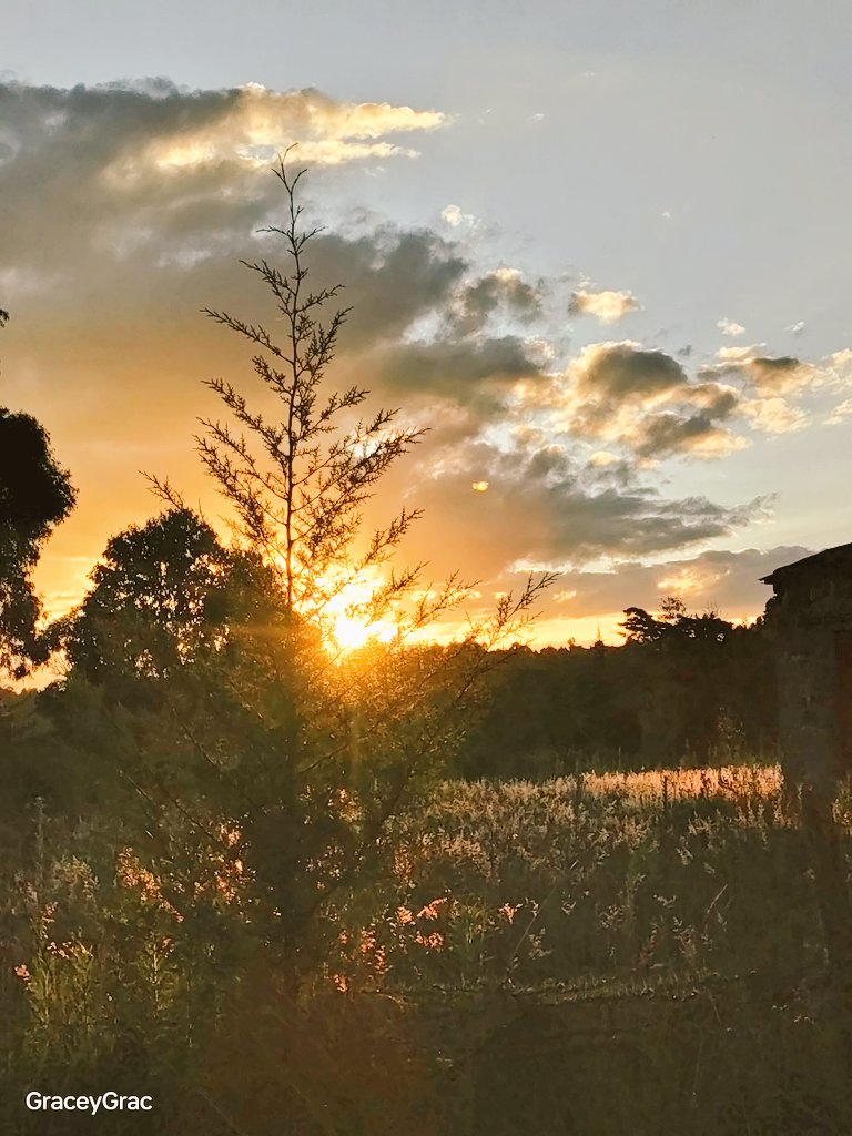 Good evening opacarophile s 🧡