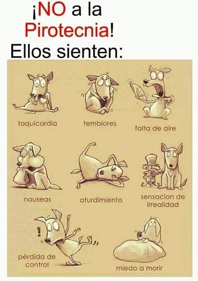 La pirotecnia es un lastre que daña a muchos seres vulnerables 😡