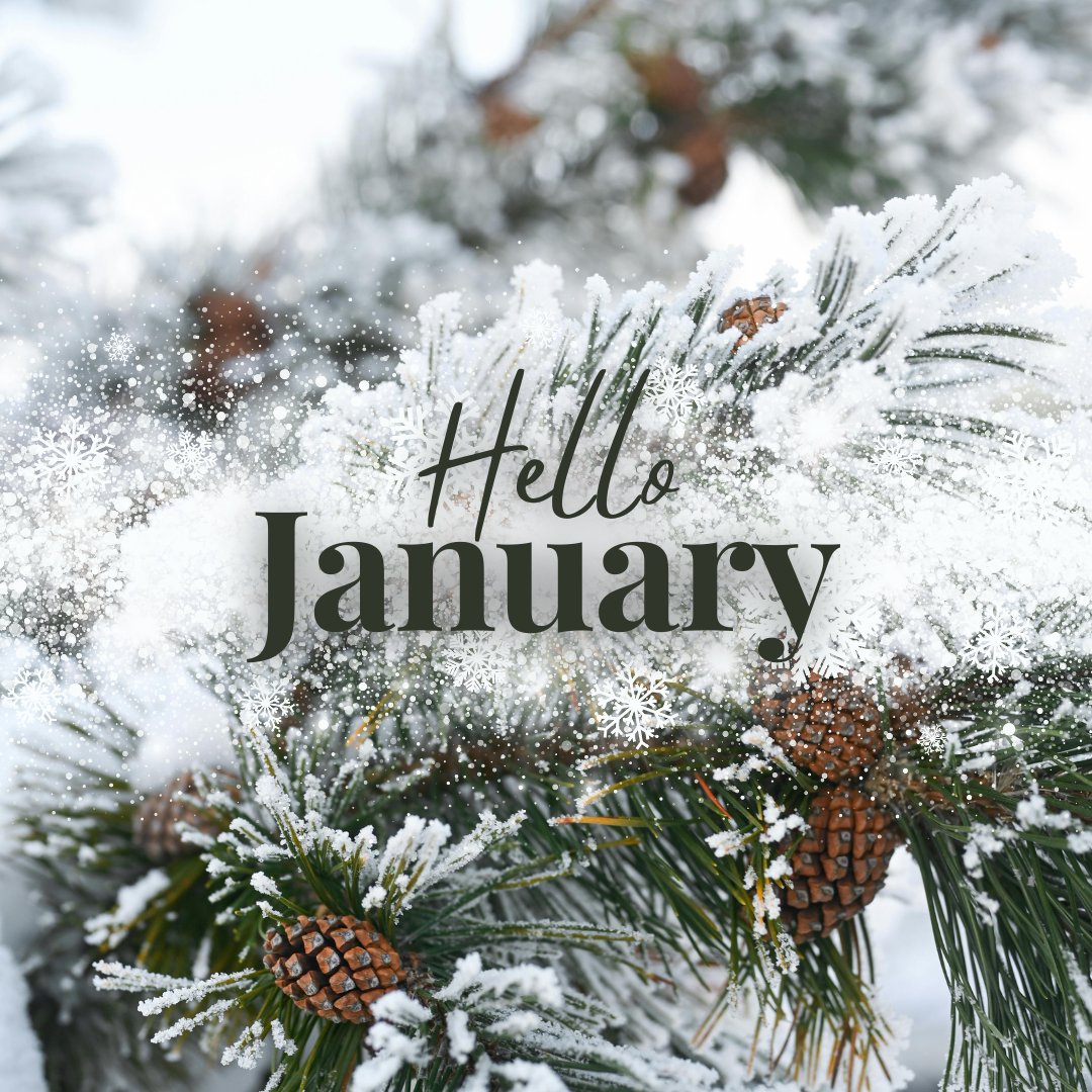 Persephone_Colo's tweet image. In January’s stillness, the world speaks in hushed tones, inviting hearts to begin anew in the language of frost and hope.
#HelloJanuary #HappyNewMonth