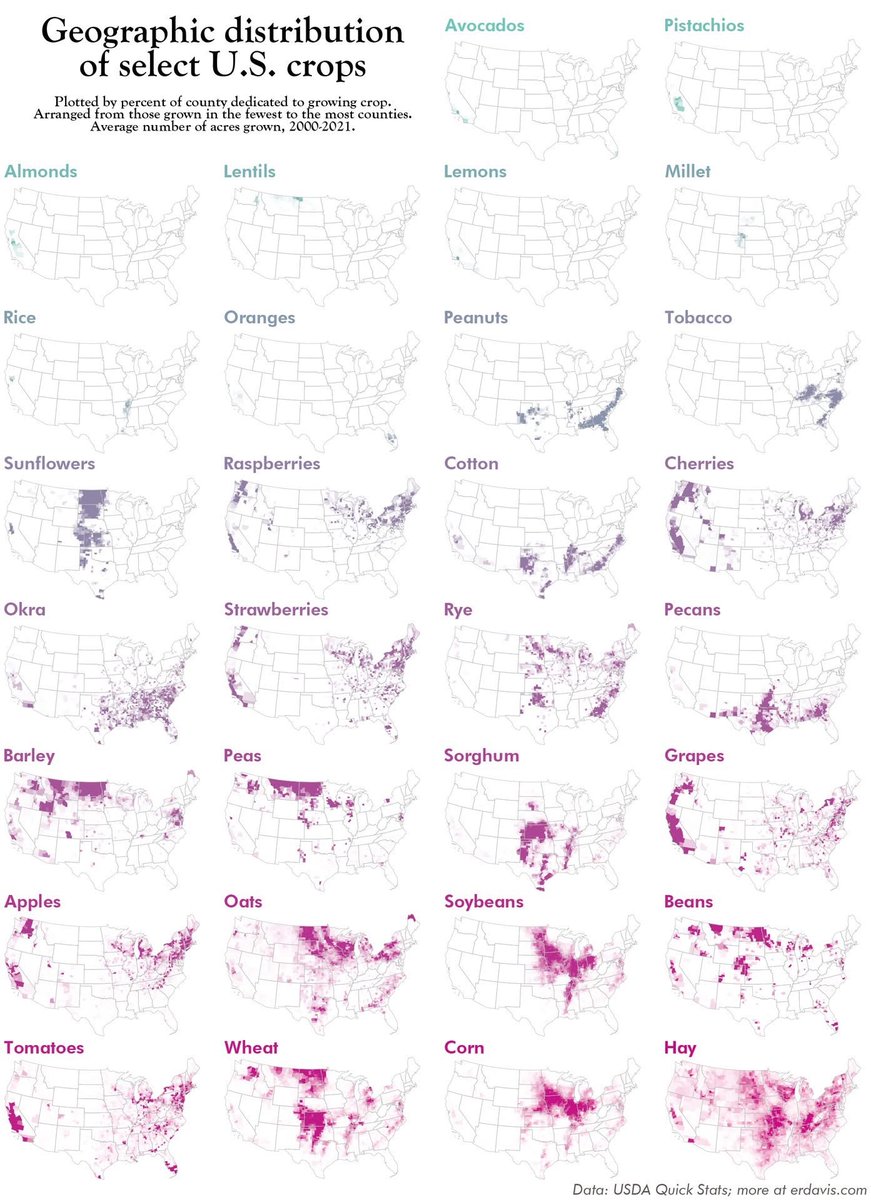 Cool graphic of our current cropland distribution!