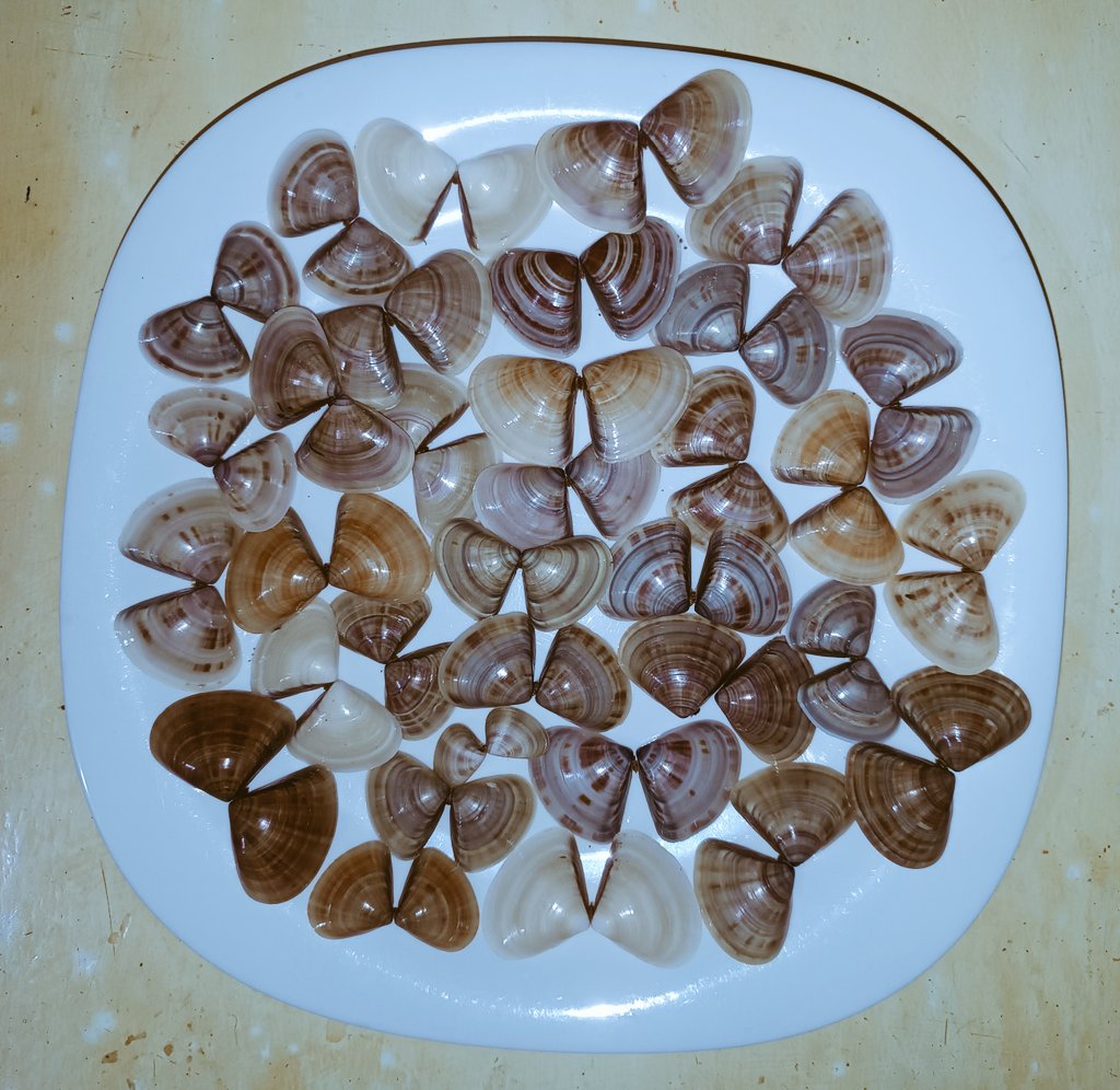 PizzeriaMyWay's tweet photo. For every meal consumed is a donation towards empowering the Miji Kenda Fishing Community in Malindi &amp; Gongoni. Our Ocean is full of untapped wealth. @HassanAliJoho, @GideonMungaroM &amp; @Karimi_Karen there is so much that can be done. Thanks @ElimuNaKaziKE 4 the earrings. #Trade https://t.co/5tMBpHbUGK