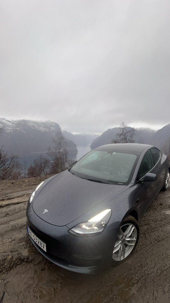 niclasriedel_ tweet media