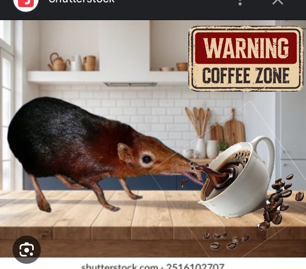 gonnashlorp's tweet photo. @shilllin Gm
$shlorp
#coffeezone https://t.co/uzImLAmt9S