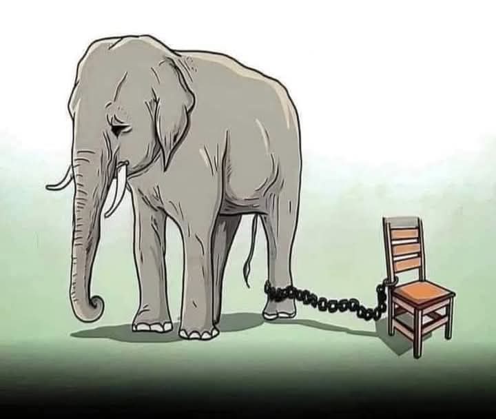 #198k  

Haddii cinwaan ku habboon aad u sameeyso, hab fikirkaaga wuu sareeyaa.