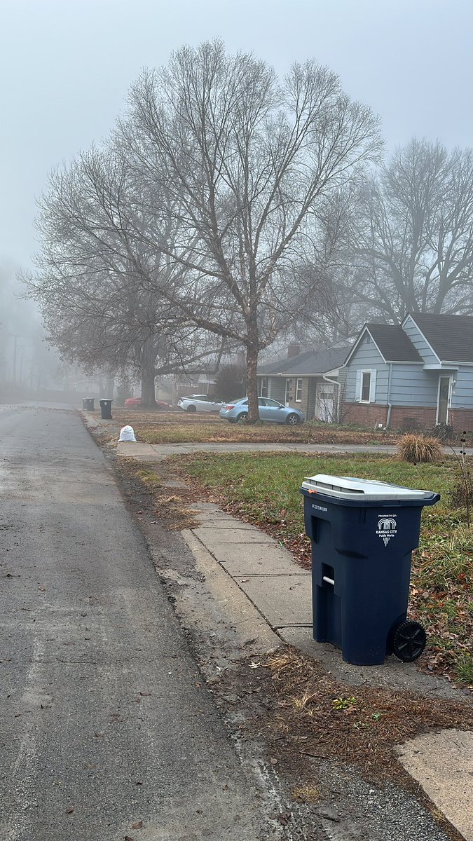 Angie Lile (she/her) tweet media