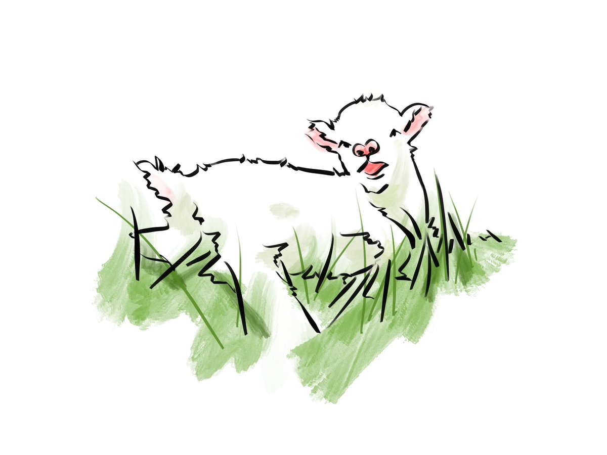 RoseXu99's tweet photo. Drew a sheep. https://t.co/ahyeheIvdv