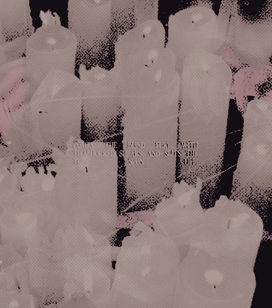 ‍‍ ‍‍ ‎‎𝕾AVIOR‍‍ ‍‍ ‎‎ ‍ *̲ ‍ ‍‍ ‍‍ ‎‎COMPLEX. ‍‍ (@guilltines) on Twitter photo 