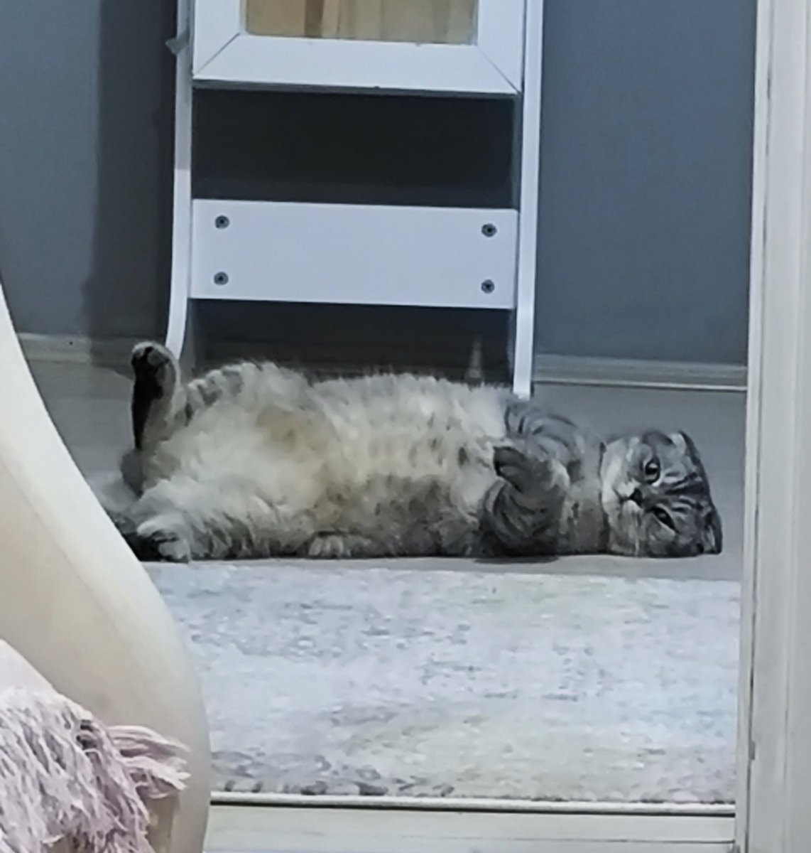 Hayat sana güzel aslan parçası