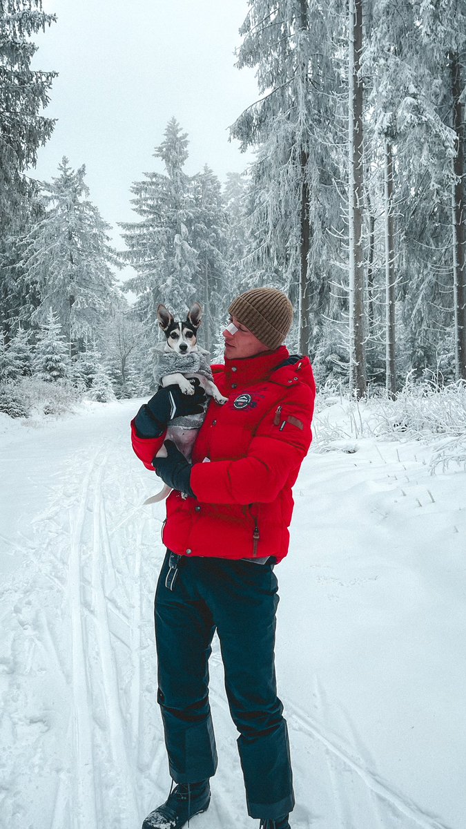 niclasriedel_ tweet media