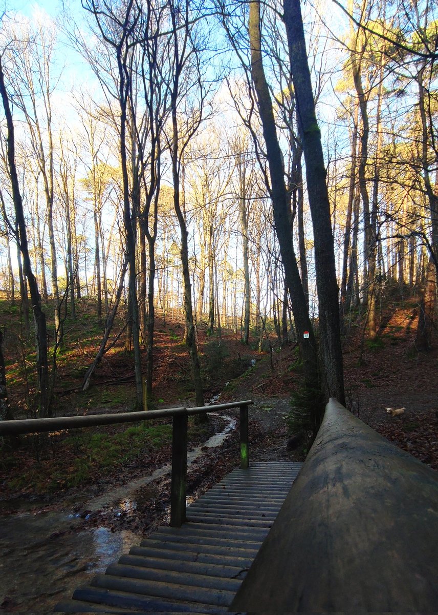 Il y a toujours une bonne raison de prendre une dose de bien-être en mode #wallonienature 💚🥾
La région de Spa Hautes-Fagnes est généreuse en offre de balades 🚶🏼 visitspa-hautesfagnes.be/se-balader/a-p…
La nature 🍀 est notre alliée, préservons la !
#visitwallonia #walloniecherie #randonnee 🥾