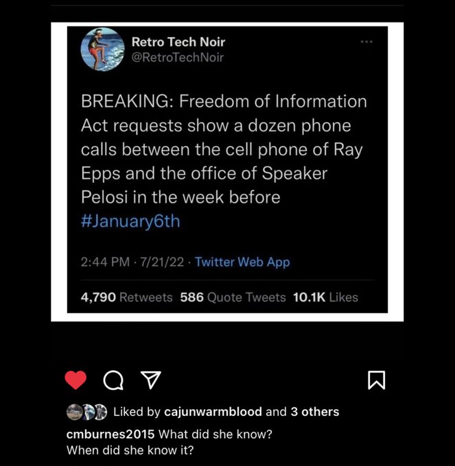 @realTrumpmedias Impeach the criminal 'bitch' and throw her ass in prison for setting up and staging the riot on the capital..and sue her