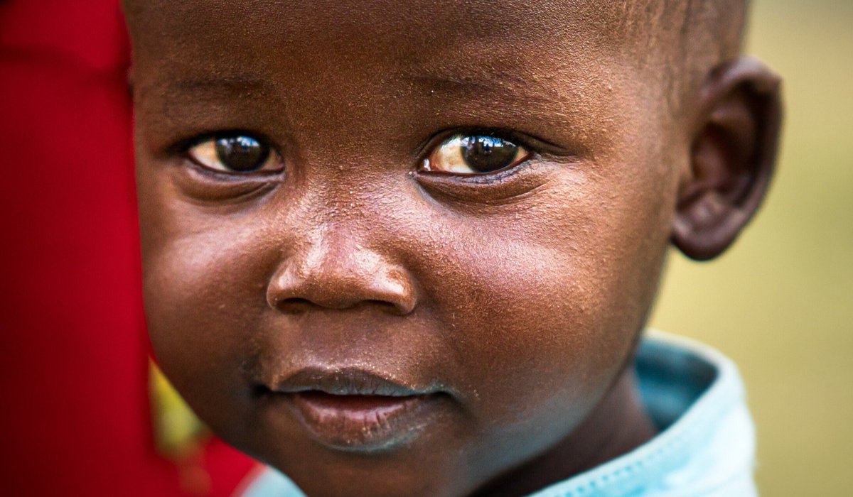 Lion Recovery Fund tweet media