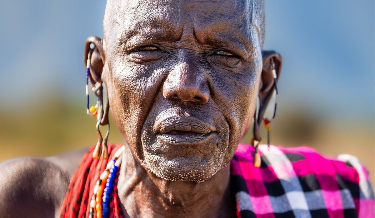 Lion Recovery Fund tweet media