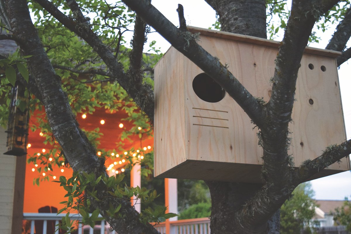 Winter is a wonderful time for projects. Entice a variety of owls to nest around your homestead using these a simple DIY owl box.

grit.com/farm-and-garde…