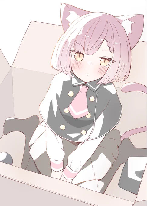 ネコ妹 