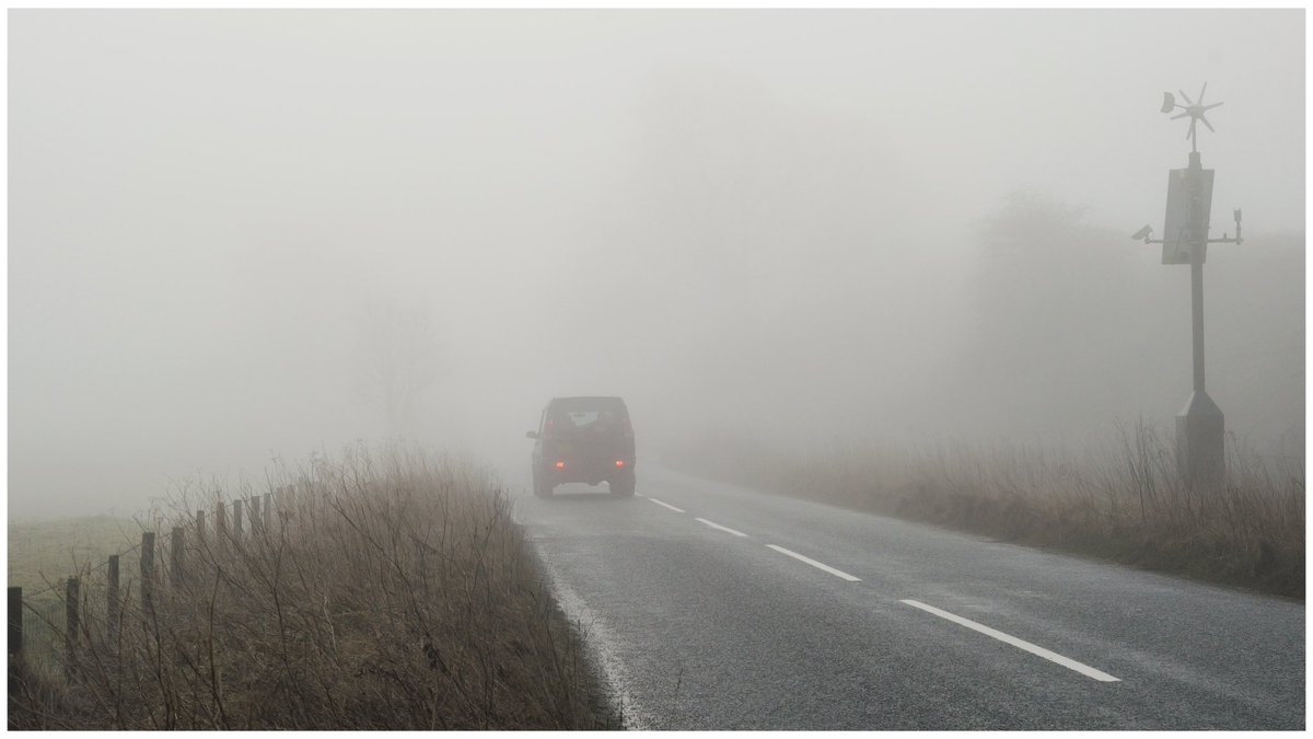 SteveGosling2's tweet photo. Out in the fog again today and having fun with the Leica SL3 and some Sigma lenses (my thanks again to Alister Bowie at Ffordes Photographic and SIGMA UK).

Leica SL3 and Sigma 24-70mm f2.8 Art lens

@Leica_UK @LeicaFotografie @SigmaImagingUK @Ffordesphoto https://t.co/jNLV6WkseX
