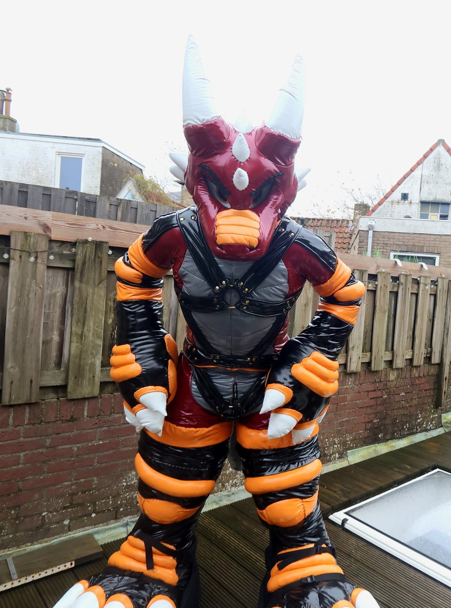 Hey, what ya looking at?  Eyes are up here
#SqueakySaturday