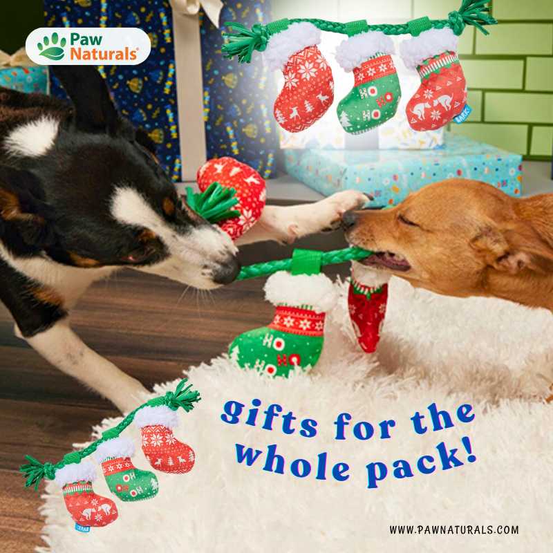 Paw_Naturals's tweet image. 🎄🐾 The holiday season is here &amp;amp; Paw Naturals is your one-stop shop for all your pet's festive needs! Discover a wide range of healthy treats, cozy toys, &amp;amp; perfect gifts to pamper your furry friends. 🐶❤️🐱bit.ly/40Fgxzi
#furryfriend #HolidayPets #petlovers #shopping