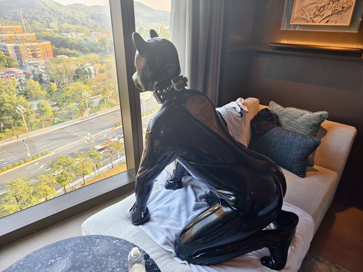 Pup that accompany Drake through his freshman time🤣the period when Drake's dominant part emerge😉