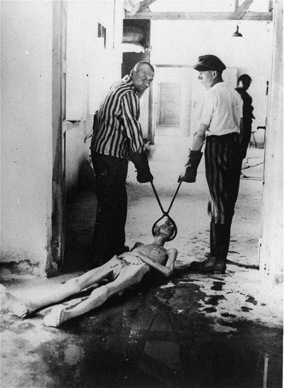 Some of the Heart-Breaking Moments captured on camera ~ A Thread 🧵

1. Survivors of the Dachau concentration camp demonstrate the operation of the crematorium by dragging a corpse toward one of the ovens. Germany, April 1945.