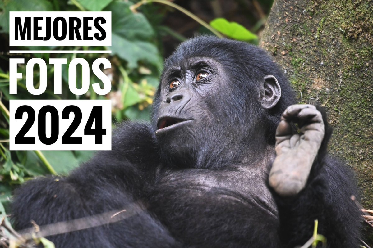 Nuestras mejores fotos viajeras de 2024 …padadelturistaaccidental.blogspot.com/2022/12/las-10…