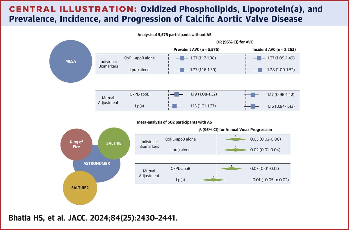 JACC Journals (@jaccjournals) on Twitter photo Does higher OxPL-apoB, particularly with Lp(a) predict disease progression in calcific aortic valve disease? Find out in this #JACC study: jacc.org/doi/10.1016/j.…
<a href="/DrMichaelShapir/">Michael D. Shapiro</a> <a href="/CapouladeR/">Capoulade Romain</a> <a href="/hsbhatia/">Harpreet Bhatia</a> <a href="/KariLidani/">Kárita Lidani, MD, MSc, PhD</a> <a href="/hsbhatia/">Harpreet Bhatia</a> <a href="/Lpa_Doc/">Sam Tsimikas, MD</a> Does higher OxPL-apoB, particularly with Lp(a) predict disease progression in calcific aortic valve disease? Find out in this #JACC study: jacc.org/doi/10.1016/j.…
<a href="/DrMichaelShapir/">Michael D. Shapiro</a> <a href="/CapouladeR/">Capoulade Romain</a> <a href="/hsbhatia/">Harpreet Bhatia</a> <a href="/KariLidani/">Kárita Lidani, MD, MSc, PhD</a> <a href="/hsbhatia/">Harpreet Bhatia</a> <a href="/Lpa_Doc/">Sam Tsimikas, MD</a>