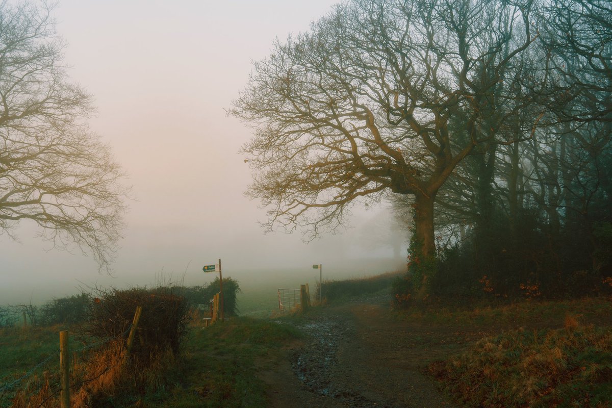 DanielCasson1's tweet photo. Misty Mornings // https://t.co/V4WKi7s4im