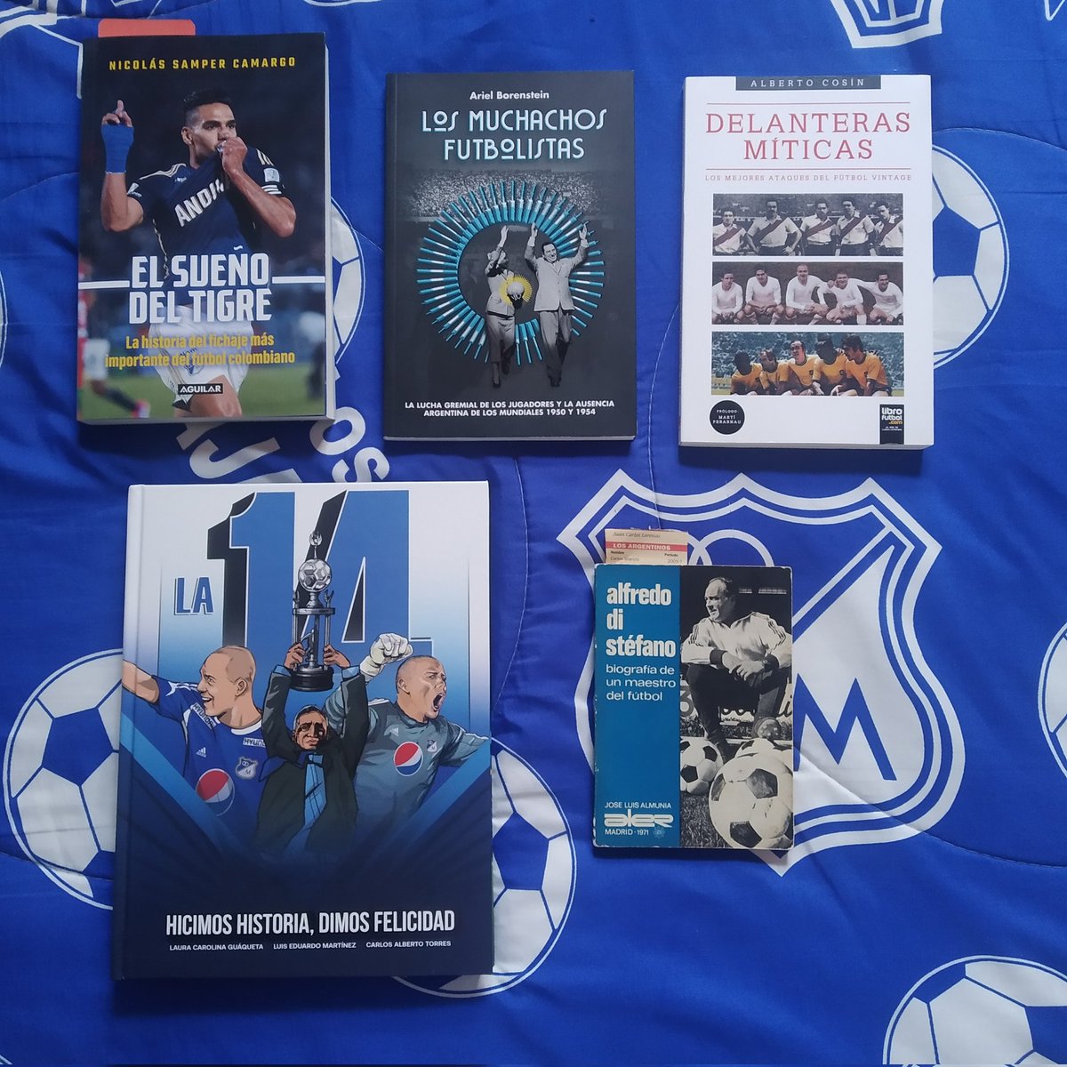 Este año llegaron bastantes libros pero el top de  este 2024. 

El sueño del Tigre 

Los muchachos futbolistas.

Delanteras Míticas.

 LA 14 Hicimos historia, Dimos Felicidad.

Cierra el top  Alfredo Di Stefano biografía  de un maestro del fútbol.