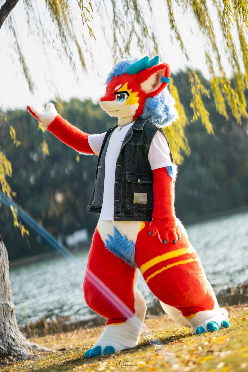 今年的最后一个毛五！《冬日暖阳》
 #FursuitFriday
📷：<a href="/YIbaibai_/">慕容涵</a>