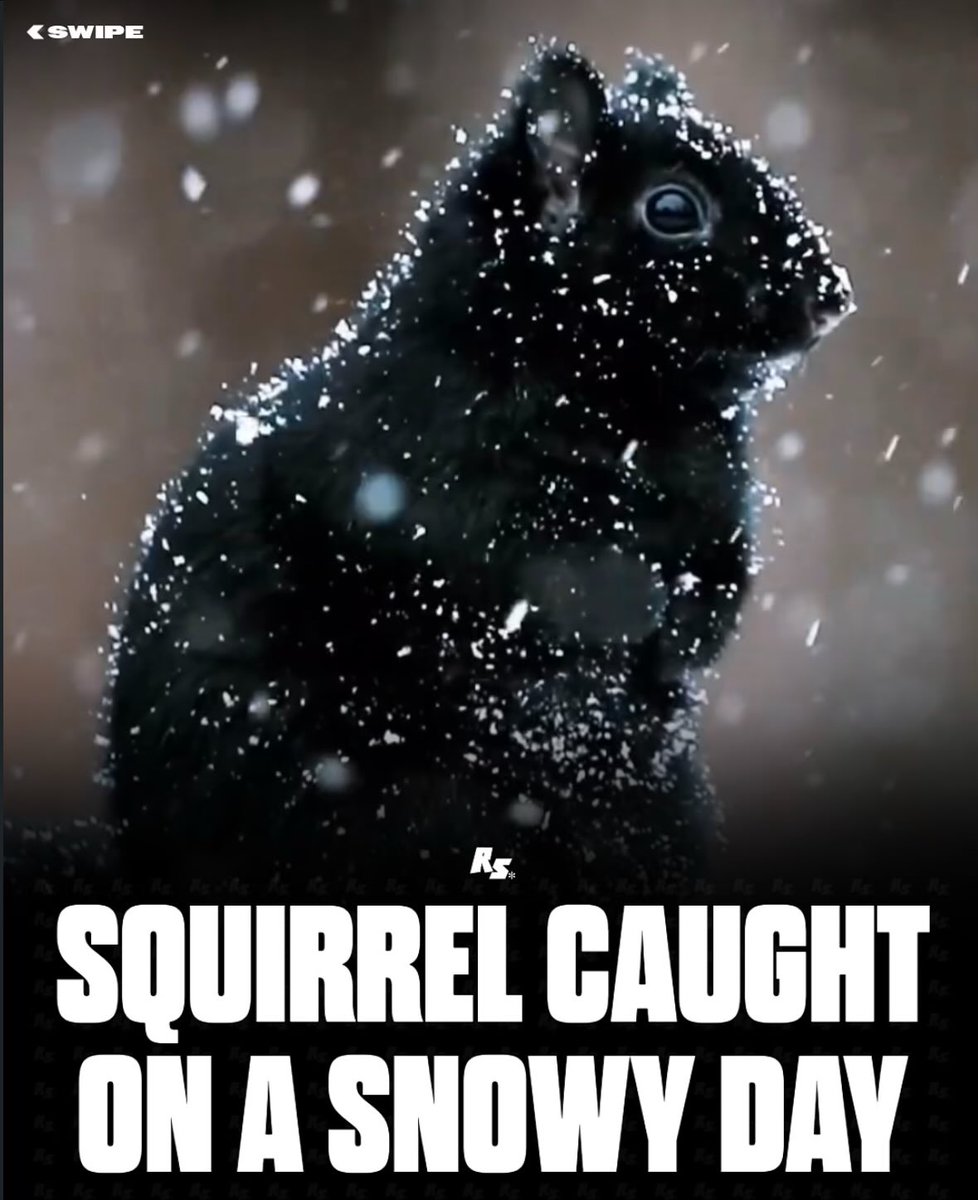 I love how all Instagram accounts just use the Bleacher Report format