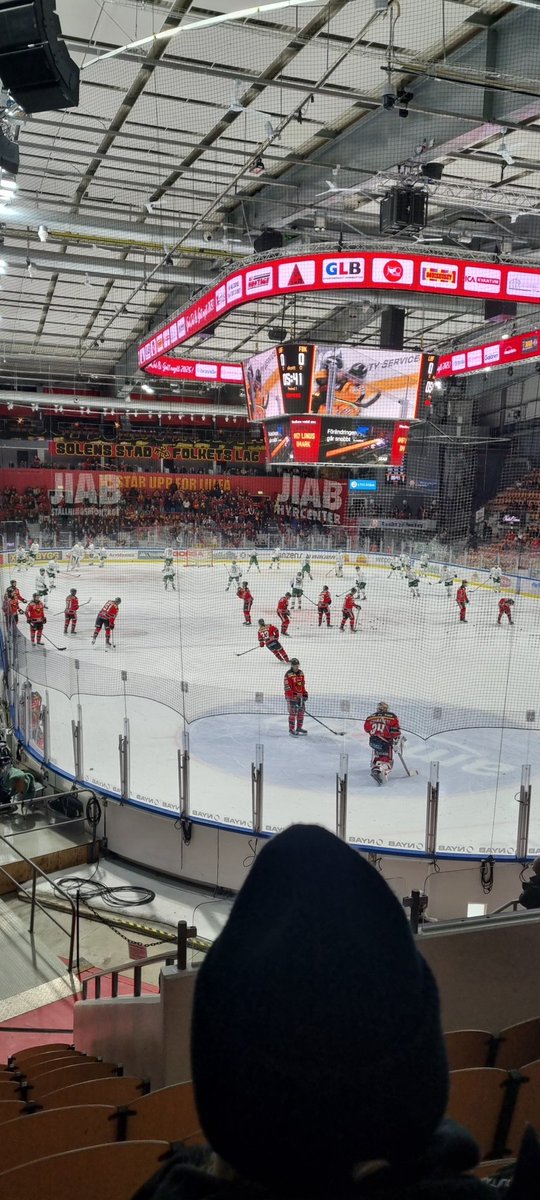 Siknäs intar delfinen