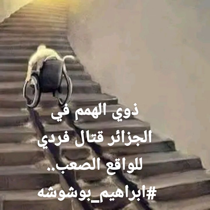 ♿ ابراهيم بوشوشة🇩🇿 tweet media