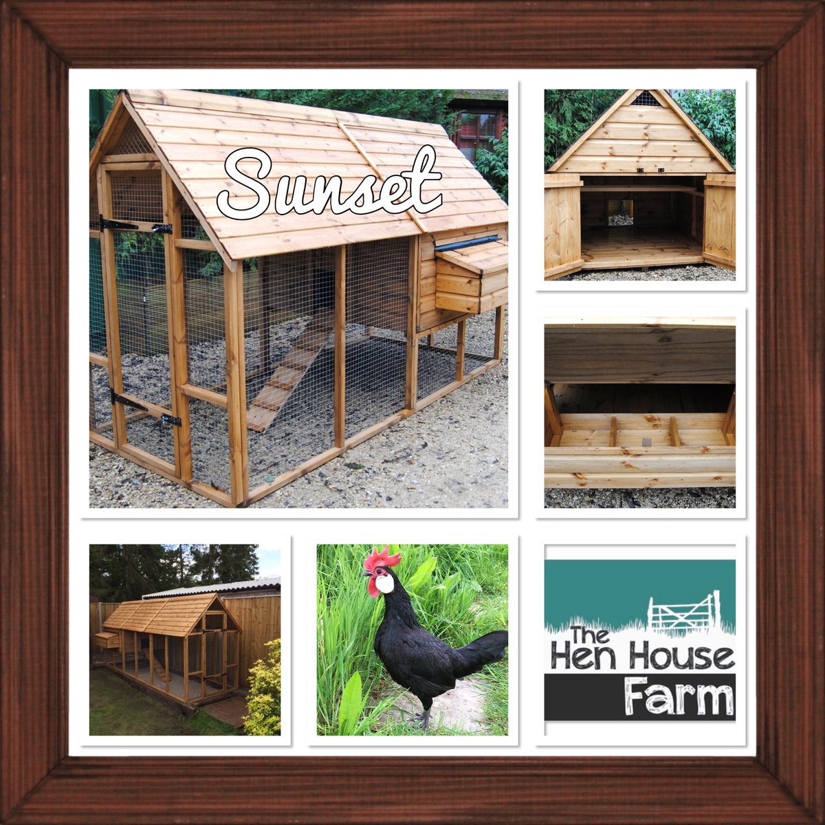 The Hen House Farm (@thehenhousefarm) / Posts / X
