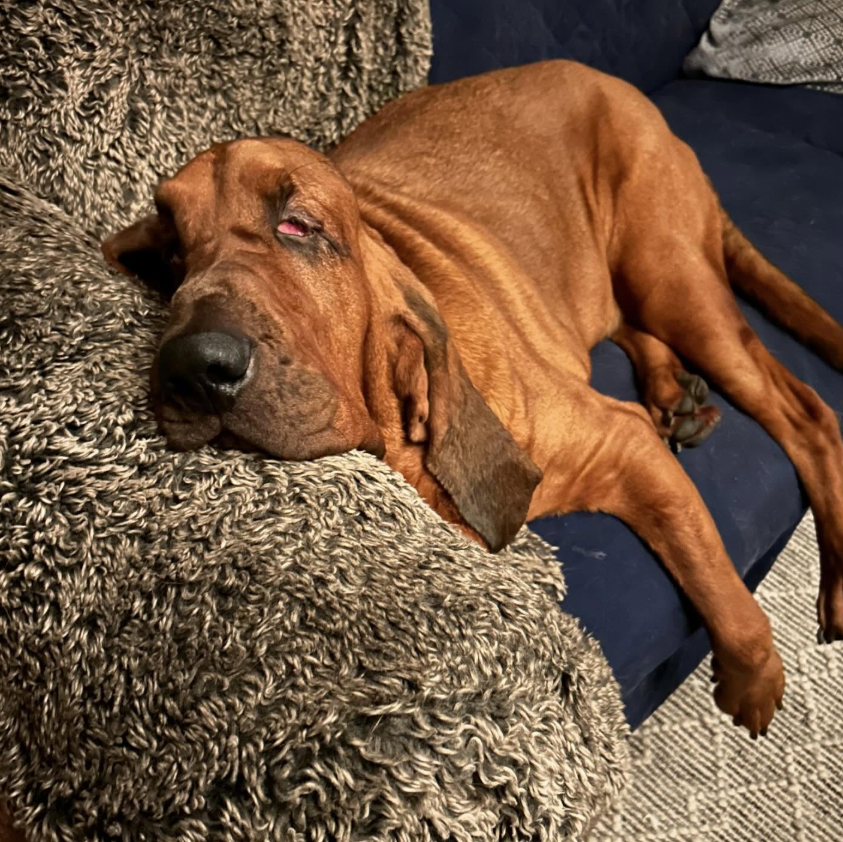 CletusT1986's tweet image. OSHA-approved supervisor on site.