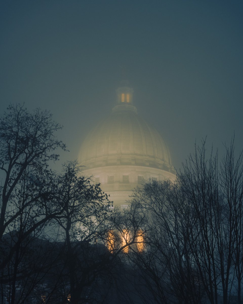 Wandering amongst the fog