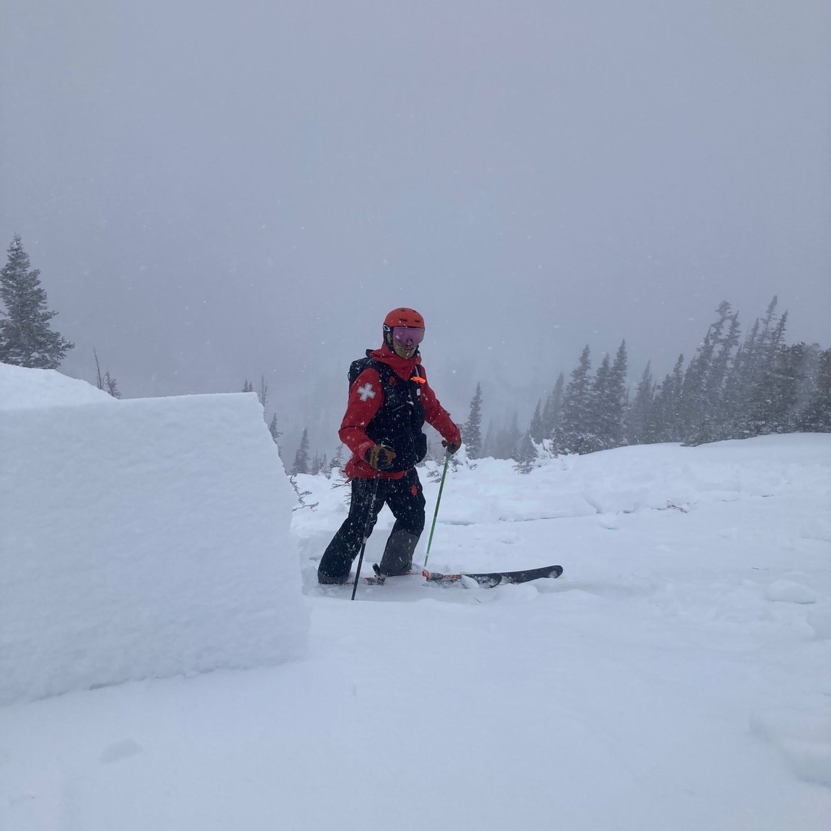 Snowbird tweet media