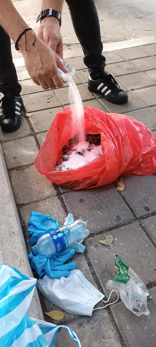 Secretaría de Salud Distrital tweet media