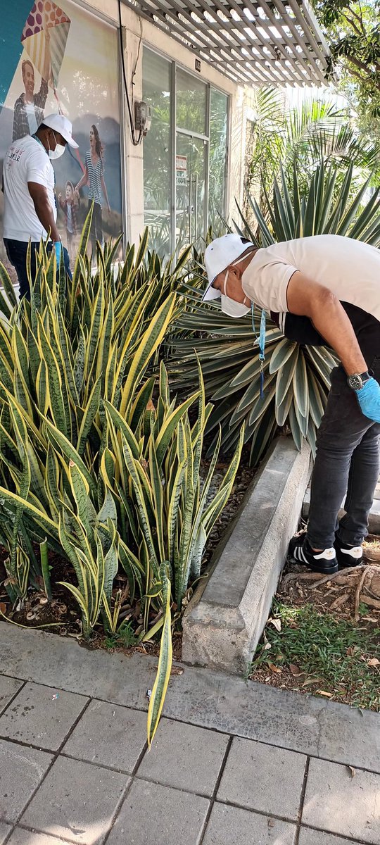 Secretaría de Salud Distrital tweet media