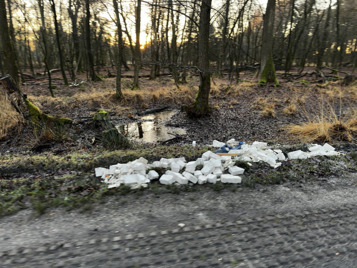 Irgendwer verliert in den letzten Tagen reihenweise und regelmäßig Bauschutt in der #Senne. Vielleicht kennt jemand den Ursprung der hübschen Fliesen, so dass man das Arschloch richtig dran kriegt. 🤮